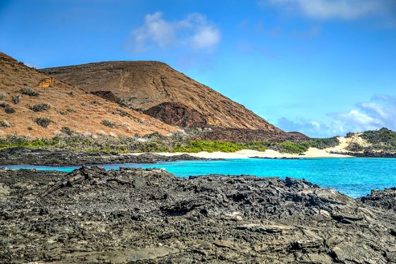 Sullivan Bay