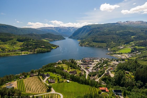 Ulvik