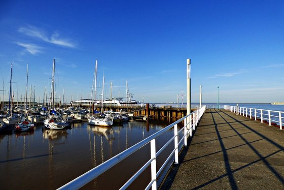 Pauillac (Bordeaux)