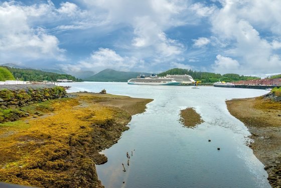 Ward Cove 