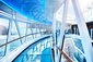 Royal Princess, Seawalk
