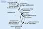 Barbados, Svatý Vincenc a Grenadiny, Grenada, Martinik, Guadeloupe, Svatý Martin, Antigua a Barbuda, Svatý Kryštof a Nevis, Dominika z Bridgetownu na lodi MSC World Asia