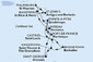Martinik, Guadeloupe, Svatá Lucie, Barbados, Svatý Vincenc a Grenadiny, Grenada, Svatý Martin, Antigua a Barbuda, Svatý Kryštof a Nevis, Dominika z Fort-de-France na lodi MSC Meraviglia