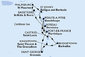 Barbados, Svatý Vincenc a Grenadiny, Grenada, Martinik, Guadeloupe, Antigua a Barbuda, Svatý Martin, Svatý Kryštof a Nevis, Dominika, Svatá Lucie z Bridgetownu na lodi MSC World Europa